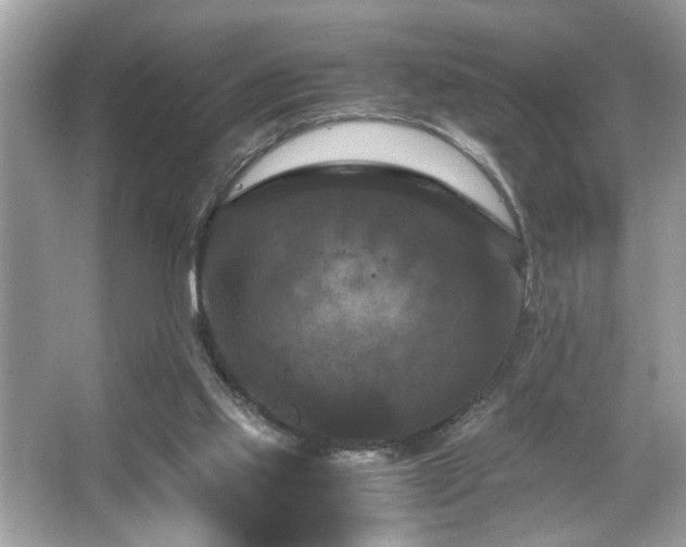 X0000066110061200603131313