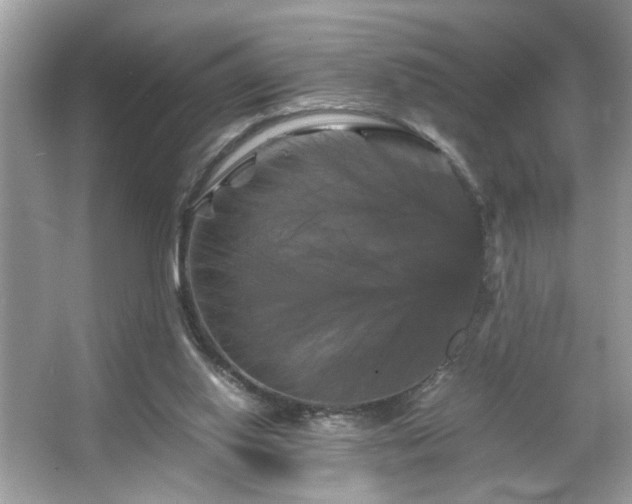 X0000066110062200603131313