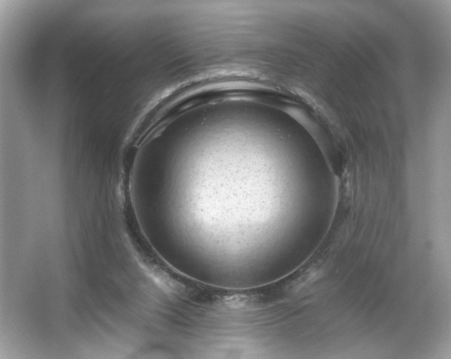 X0000066110064200603131313