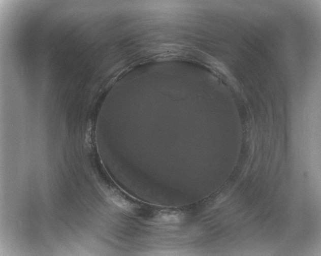 X0000066110073200603131313
