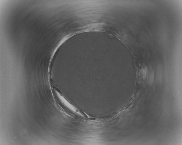 X0000066110100200603131312