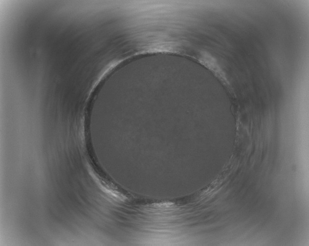 X0000066110108200603131312