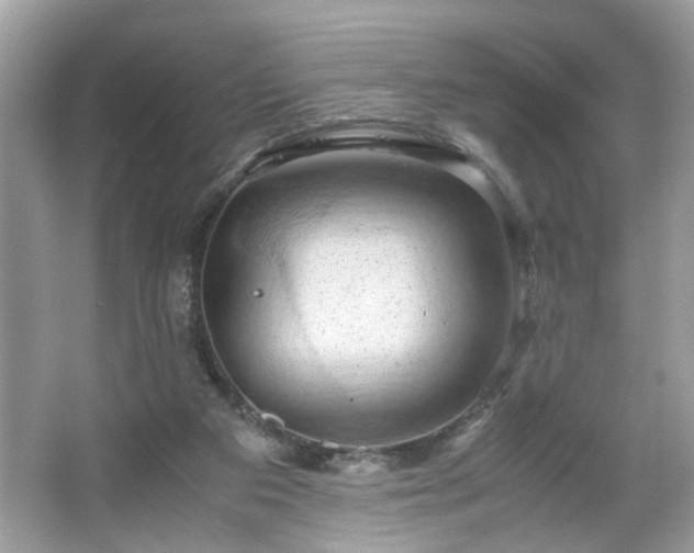 X0000066110113200603131312