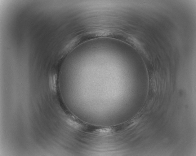 X0000066110118200603131312