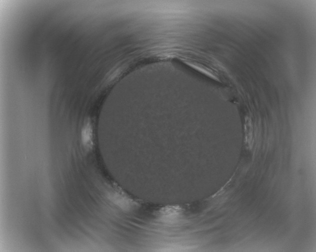X0000066110124200603131312