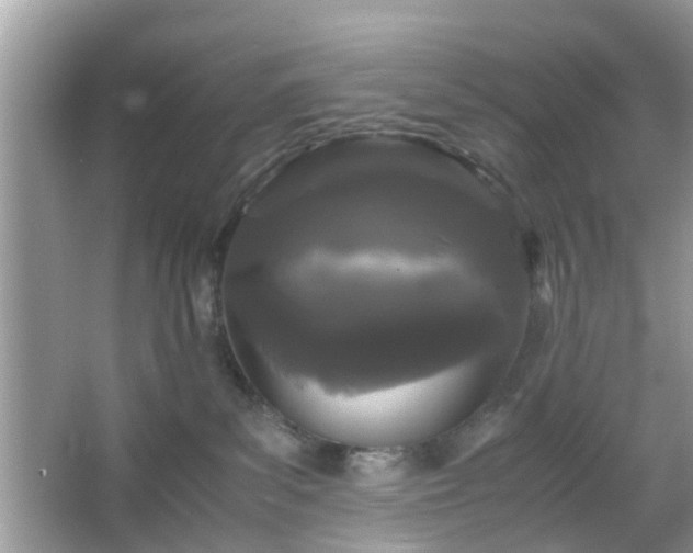 X0000066110139200603131312
