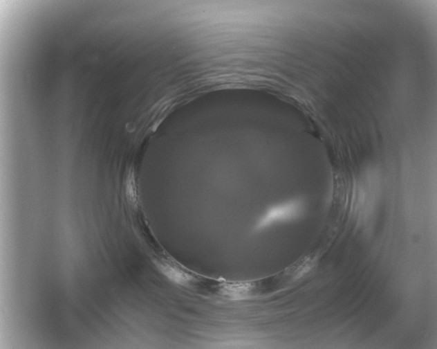 X0000066110143200603131312