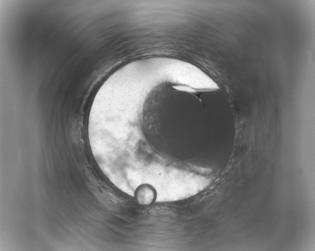 X0000066110146200603131311