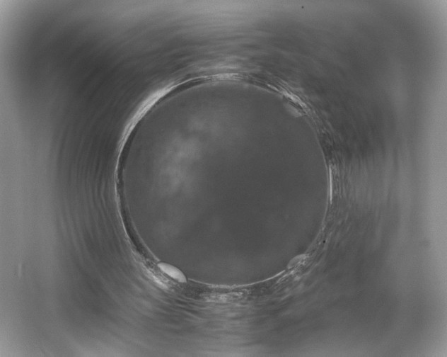 X0000066110147200603131311