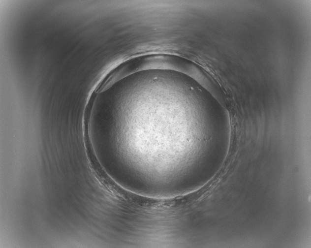 X0000066110148200603131311