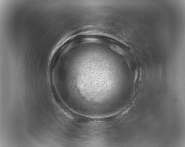 X0000066110150200603131311