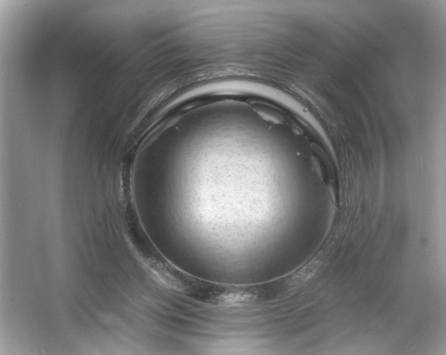 X0000066110158200603131311