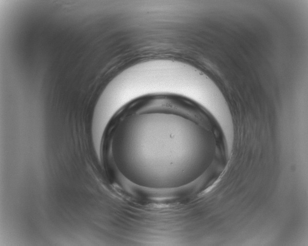 X0000066110170200603131311