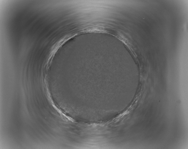 X0000066110193200603131311