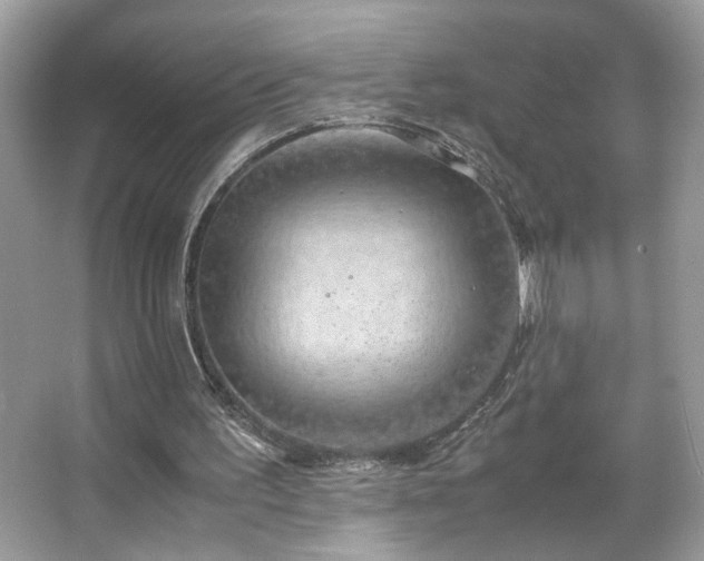 X0000066110195200603131311