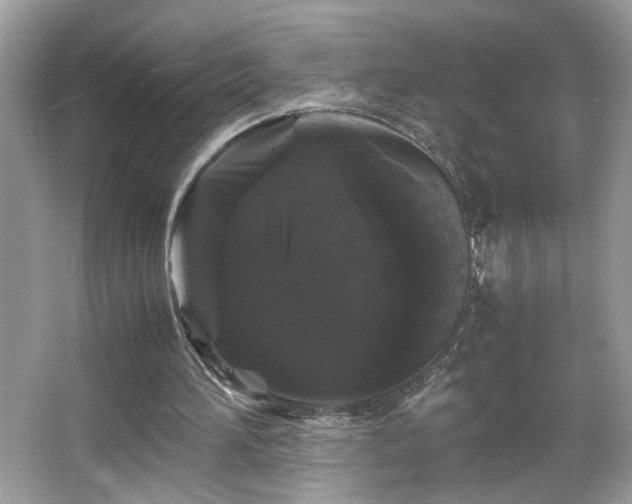 X0000066110196200603131311