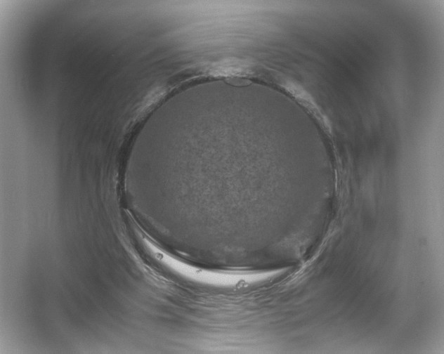 X0000066110201200603131311