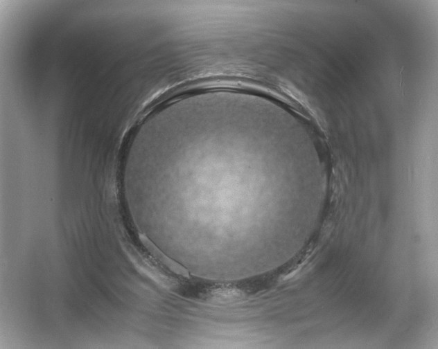X0000066110203200603131311