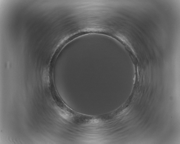 X0000066110204200603131311