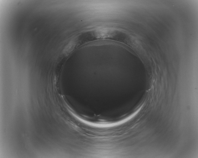 X0000066110219200603131310