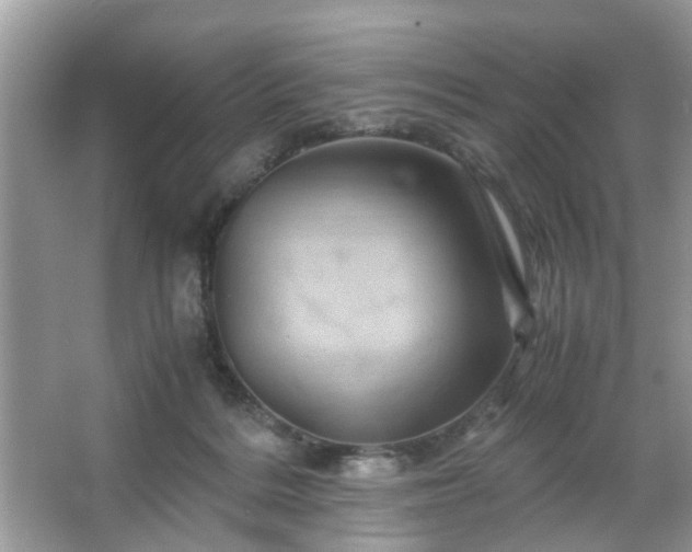X0000066110220200603131310