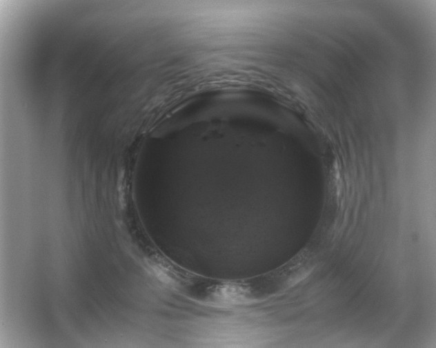 X0000066110223200603131310