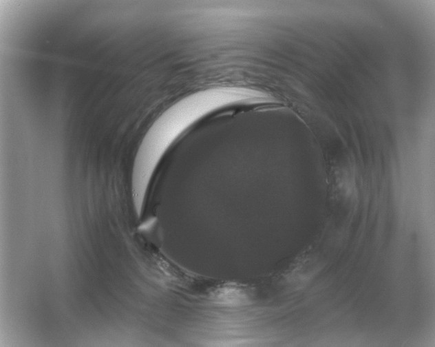 X0000066110224200603131310