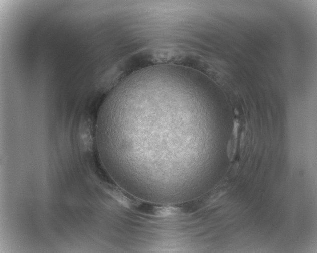 X0000066110226200603131310
