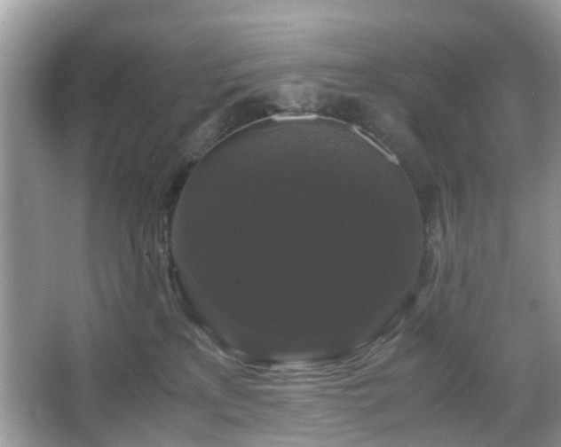 X0000066110233200603131310