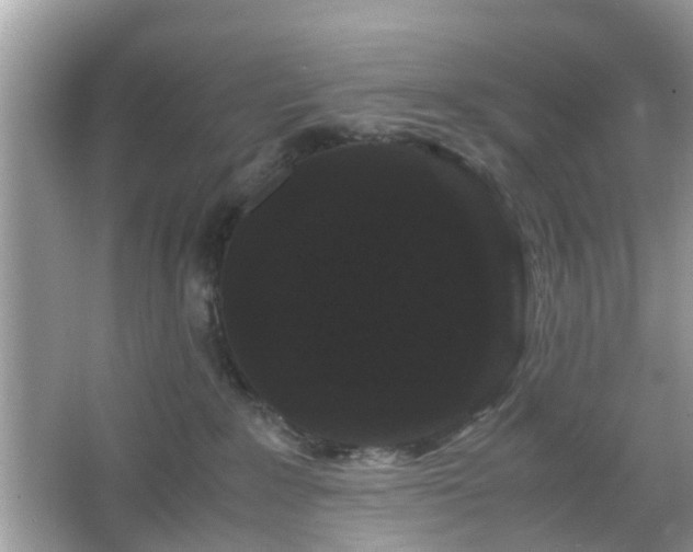 X0000066110235200603131310