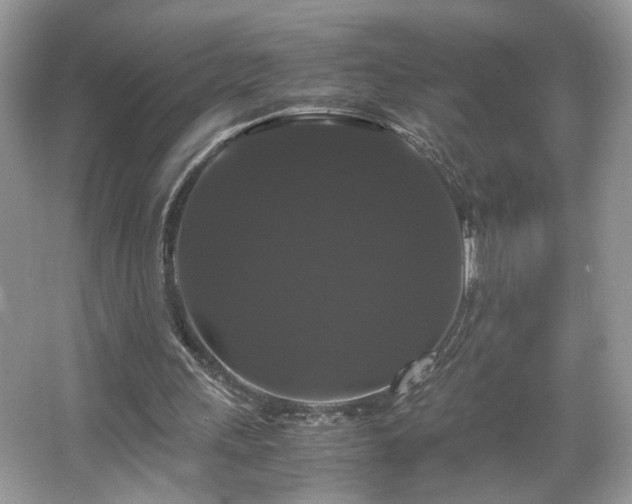 X0000066110243200603131309
