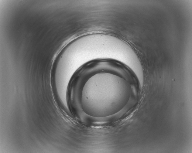 X0000066110244200603131309