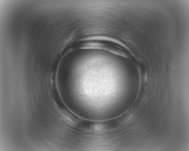 X0000066110264200603131310