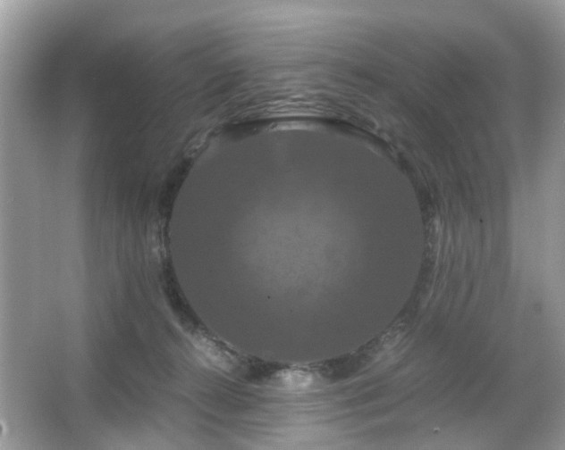 X0000066110272200603131310