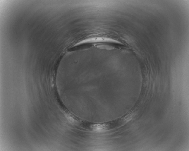 X0000066110273200603131310
