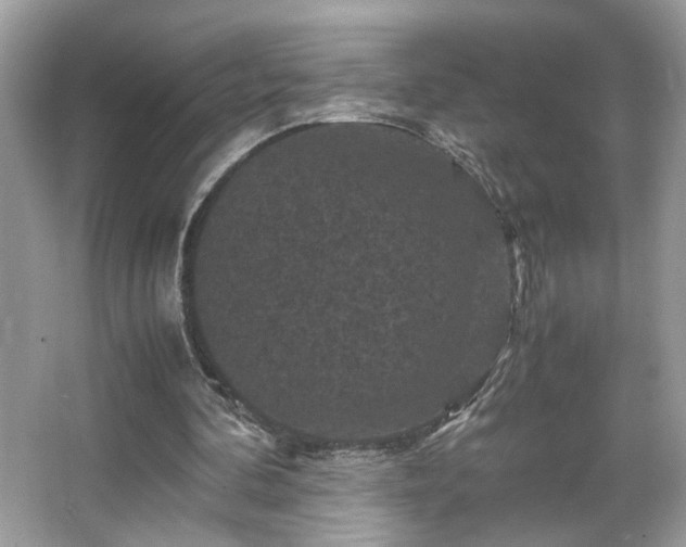 X0000066110292200603131309