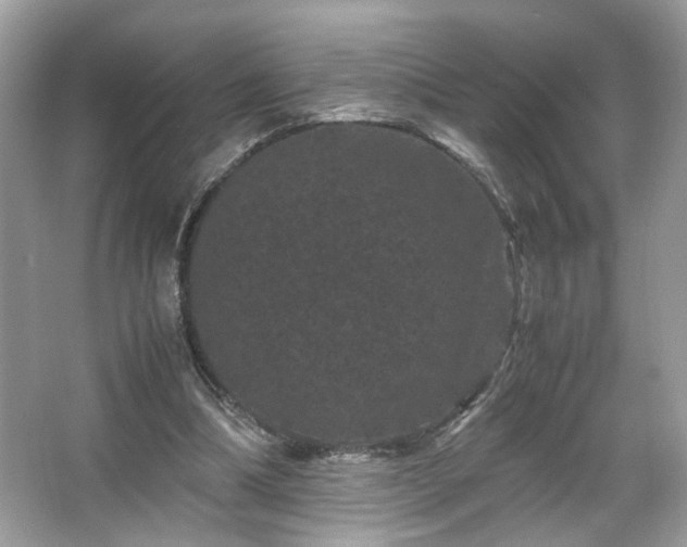 X0000066110298200603131309