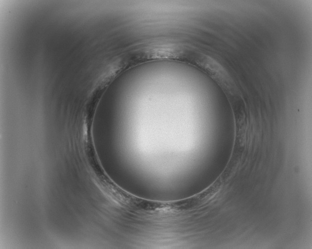 X0000066110310200603131309