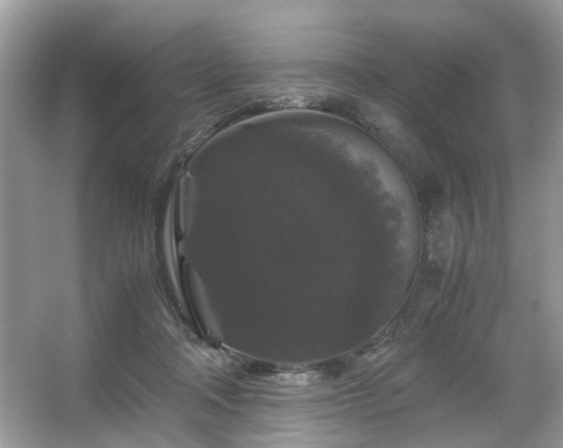 X0000066110314200603131309
