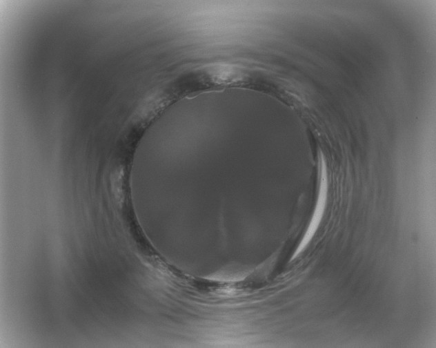 X0000066110319200603131309