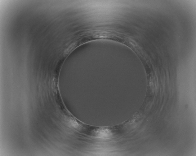 X0000066110322200603131309