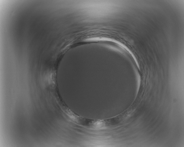 X0000066110325200603131309
