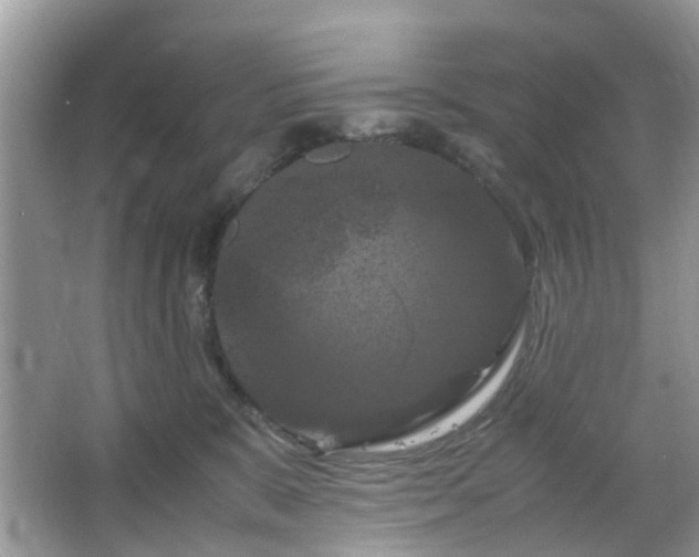X0000066110327200603131308