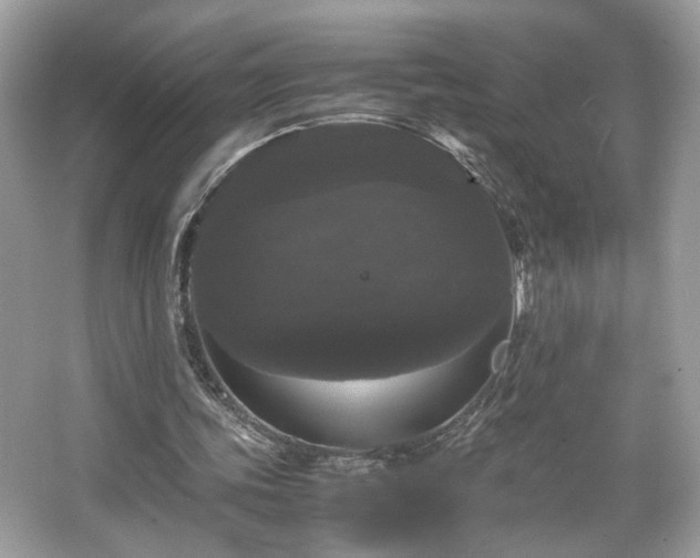 X0000066110339200603131308