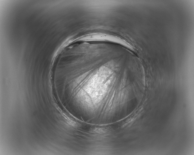 X0000066110341200603131308