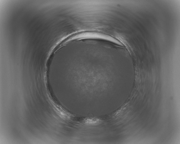 X0000066110346200603131308