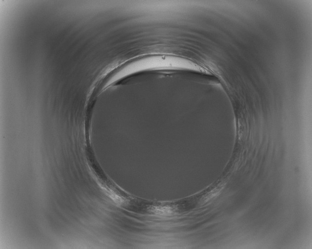 X0000066110349200603131308
