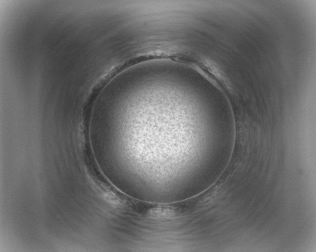 X0000066110354200603131308