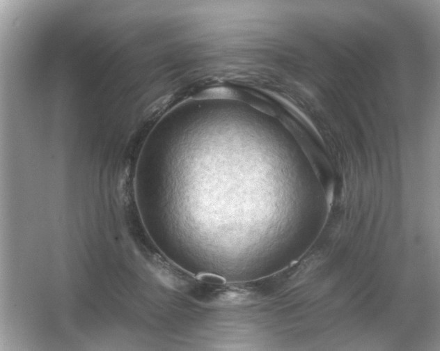 X0000066110364200603131308