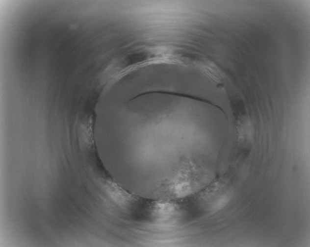 X0000066110376200603131308